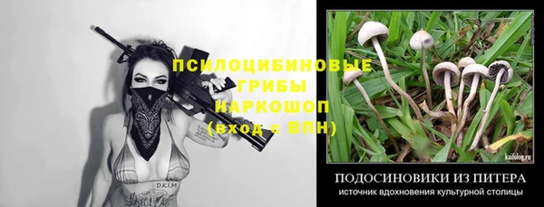мяу мяу кристалл Коряжма