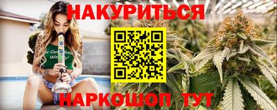 сатива Будённовск
