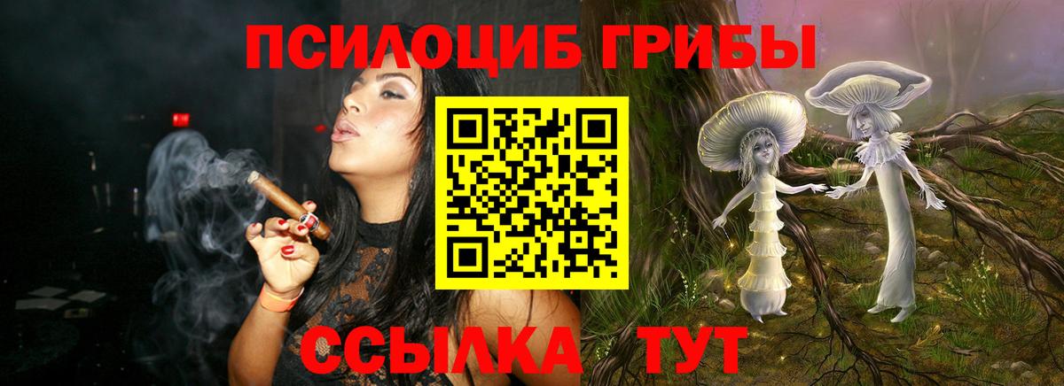 дарнет шоп  Псилоцибиновые грибы мухоморы  Вход с VPN  Волгодонск 